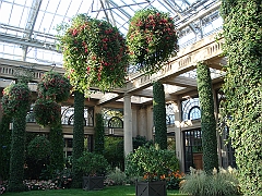 425 Longwood Gardens [2008 August 23]